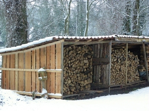 Holzschuppen Wald im Winter.jpg  